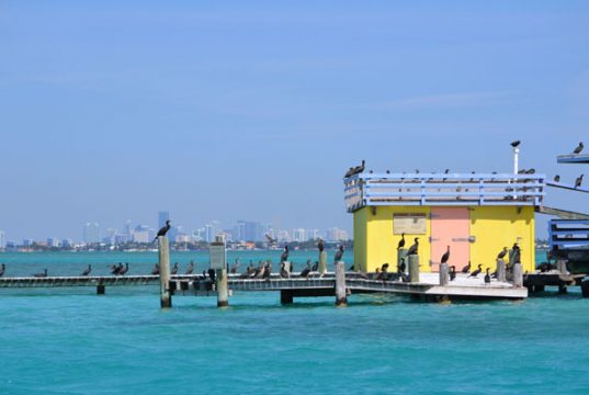 MIAMI. A la conquista de América