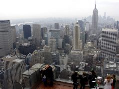 NUEVA YORK. Los árboles y el bosque