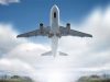 El optimismo protagoniza las perspectivas del sector para 2011