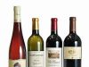 TAM AIRLINES. Premio por sus vinos en Primera Clase