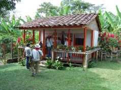 COLOMBIA. Coffee break sin sobresaltos