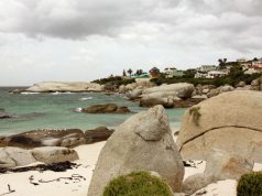 SUDÁFRICA. Exotismo 100%