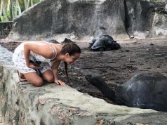 SEYCHELLES. El paraíso perdido del Índico