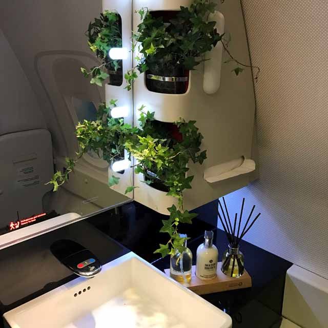 living garden turkish airlines