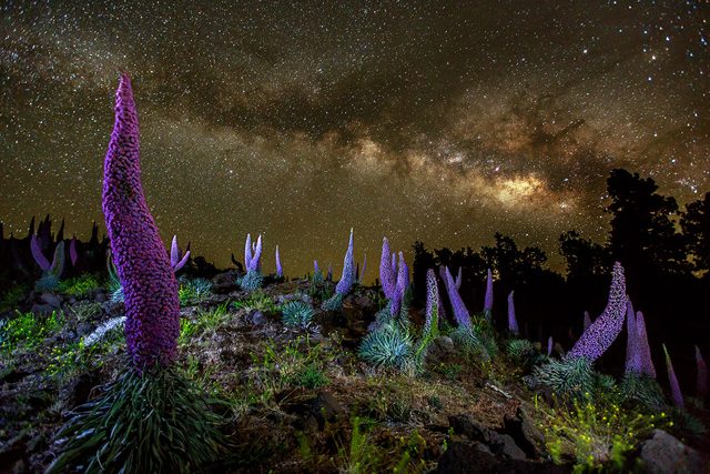 la palma astroturismo