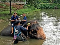 TAILANDIA. Cóctel de vivencias a flor de piel Baan Chang Elephant Camp