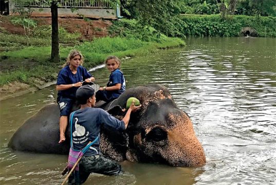 TAILANDIA. Cóctel de vivencias a flor de piel Baan Chang Elephant Camp