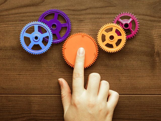 cwt herramienta insights cwt herramienta insights