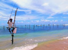 SRI LANKA. El diamante de las mil caras Pescadores zancudos en Galle