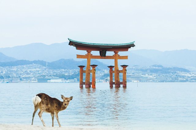 Japón guia 100 experiencias únicas Oficina Nacional Turismo Japón