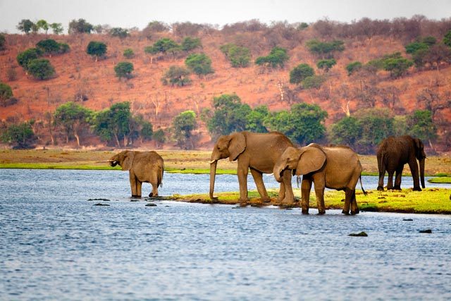 Qatar Airways vuelos a Botswana Qatar Airways vuelos a Botswana
