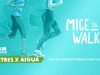 MICE Walkers, caminando por proyectos solidarios MICE Walkers