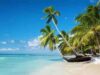República Dominicana ofrece seguro médico gratuito hasta el 31 de marzo República Dominicana seguro covid turistas