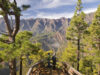 LA PALMA. La isla bonita Mirador La Cumbrecita