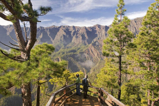 LA PALMA. La isla bonita Mirador La Cumbrecita