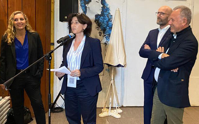 Dominique Maulin-Diabira