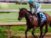 Los eventos deportivos imprescindibles de Estados Unidos en 2023