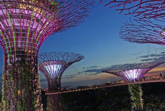 SINGAPUR. El bosque animado Gardens by the Bay
