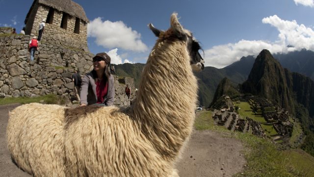 Ciudadela de Machu Picchu Ciudadela de Machu Picchu