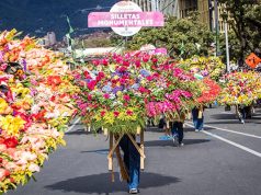 Colombia se llena de color con la tradicional Feria de las Flores en Medellín Medellín_feria de flores