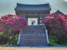 Corea prolonga la exención del K-ETA para turistas españoles hasta diciembre de 2025 Corea