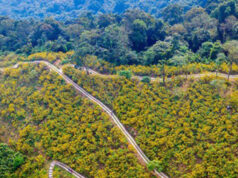 Meliá logra la neutralidad en carbono en más de 4.000 eventos con Road to Net Zero Events Meliá Road to Net Zero Events