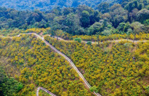 Meliá logra la neutralidad en carbono en más de 4.000 eventos con Road to Net Zero Events Meliá Road to Net Zero Events