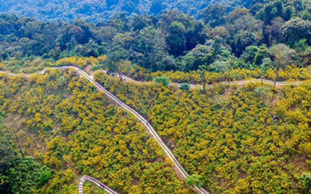 Meliá Road to Net Zero Events
