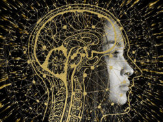 Segittur: transformación digital e IA, claves para el transporte aéreo y el turismo predictivo Segittur