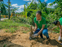 Grupo Piñero presenta nuevas iniciativas sociales, educativas y ambientales Grupo Piñero