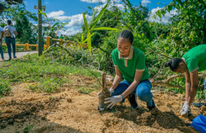 Grupo Piñero presenta nuevas iniciativas sociales, educativas y ambientales Grupo Piñero