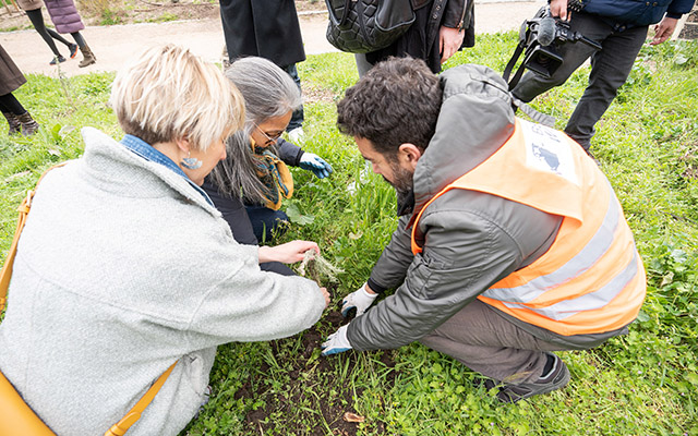 Madrid Business Meetings2022_plantacion autóctonas Casa de Campo