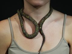 ESTAMBUL. El mercado infinito Sevan Bicakci