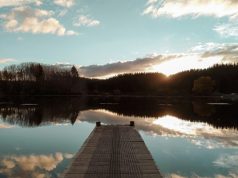 MTGlobal apuesta por la sostenibilidad y la acción climática con criterios ESG MTGlobal