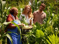 Un estudio de Minor Hotels revela optimismo y búsqueda de conexión en los viajeros de 2026 Minor Hotels - tendencias viajeros