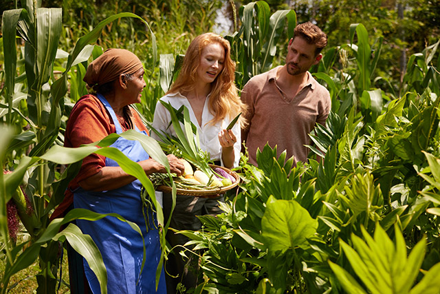 Minor Hotels - tendencias viajeros Minor Hotels - tendencias viajeros