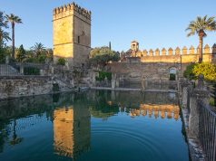 La innovación, lema del 38 Congreso Nacional de OPC Spain, con sede en Córdoba