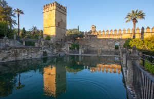 La innovación, lema del 38 Congreso Nacional de OPC Spain, con sede en Córdoba