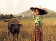 BCD Meetings & Events reúne en su nueva guía las tendencias en incentivos de 2026 BCD Meetings & Events