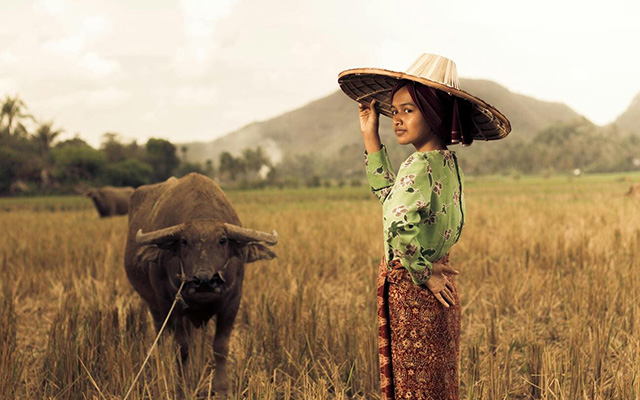 BCD Meetings & Events