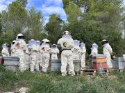 iryo se une al proyecto medioambiental Smart Green Bees coordinado por la compañía LG iryo