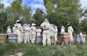 iryo se une al proyecto medioambiental Smart Green Bees coordinado por la compañía LG iryo