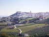 La localidad cordobesa de Montilla será la Ciudad Española del Vino 2027