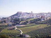 La localidad cordobesa de Montilla será la Ciudad Española del Vino 2027