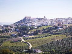 La localidad cordobesa de Montilla será la Ciudad Española del Vino 2027