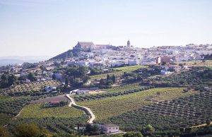 La localidad cordobesa de Montilla será la Ciudad Española del Vino 2027
