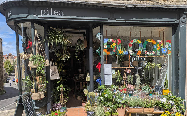 Somerset_Pilea Plant Shop. Frome